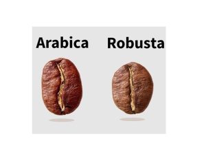 عربیکا ـ ربوستا